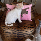 Tiger Saranda Berjer