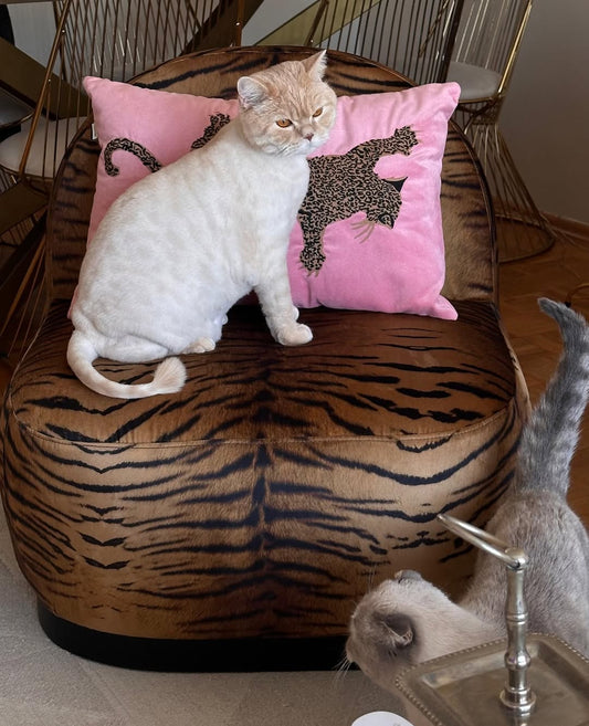 Tiger Saranda Berjer